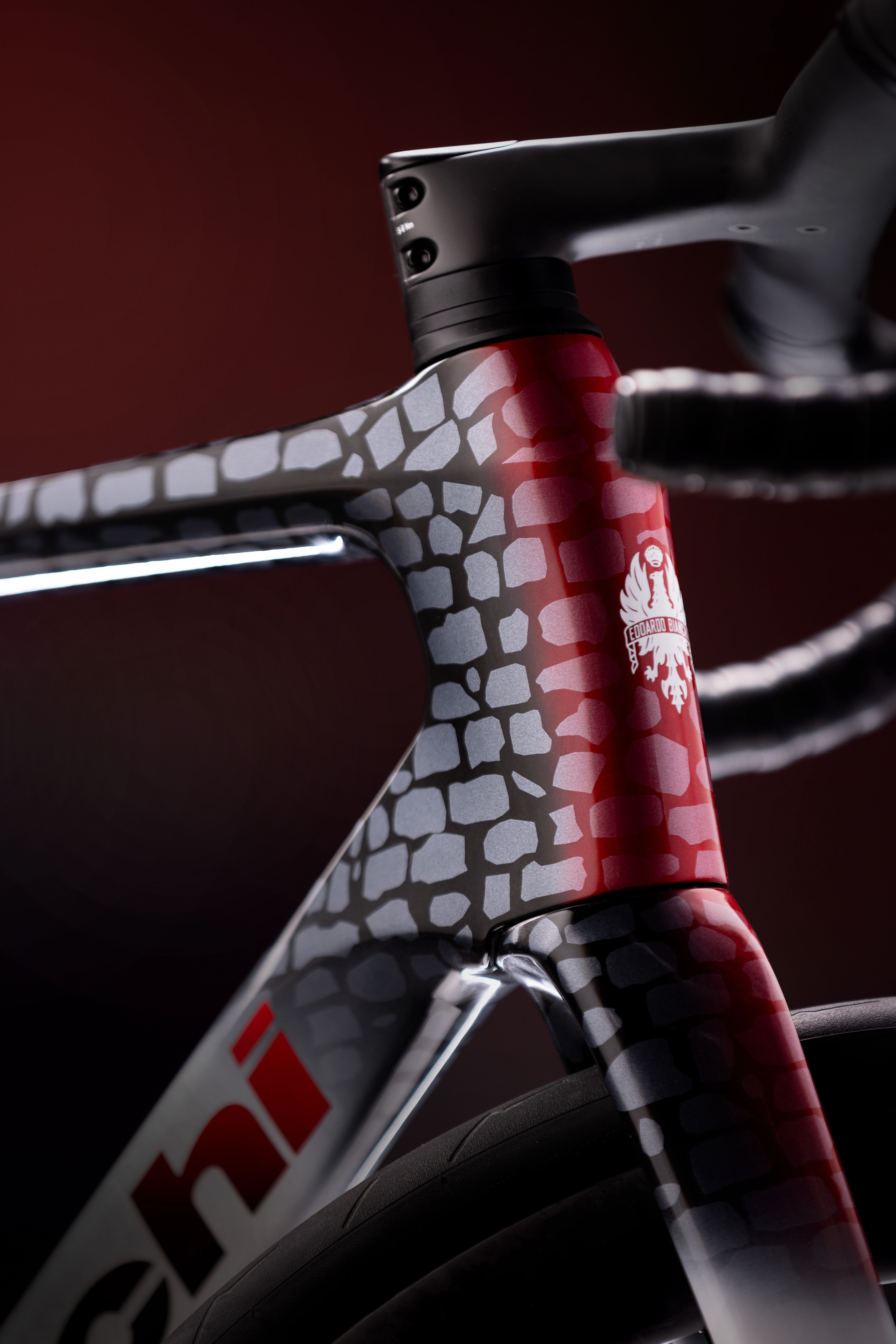 Bianchi Infinito Paris-Roubaix Limited Edition