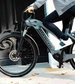 E-Omnia T-Type